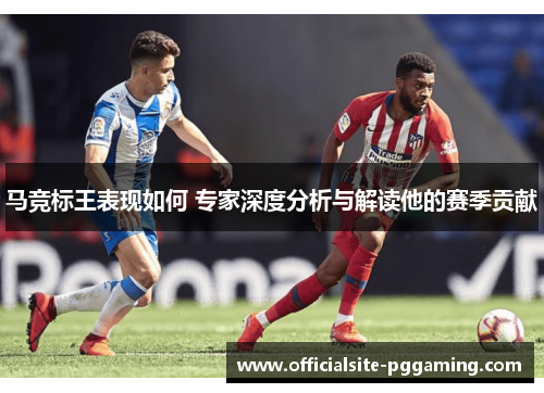 马竞标王表现如何 专家深度分析与解读他的赛季贡献