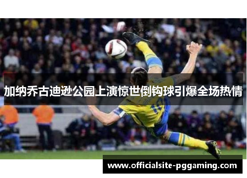 加纳乔古迪逊公园上演惊世倒钩球引爆全场热情