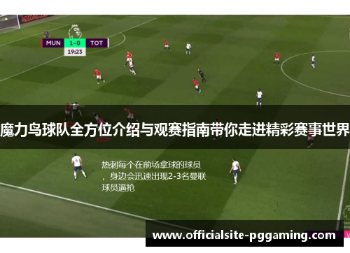 魔力鸟球队全方位介绍与观赛指南带你走进精彩赛事世界