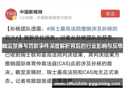魏震禁赛与罚款事件深度解析背后的行业影响与反思
