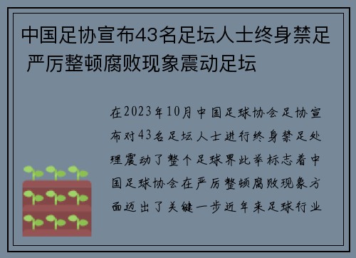 中国足协宣布43名足坛人士终身禁足 严厉整顿腐败现象震动足坛